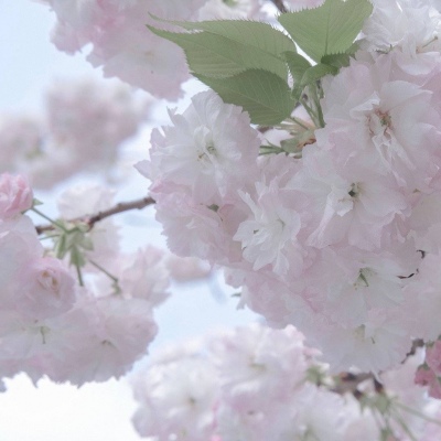 兽设黎明场景绘制Furry群